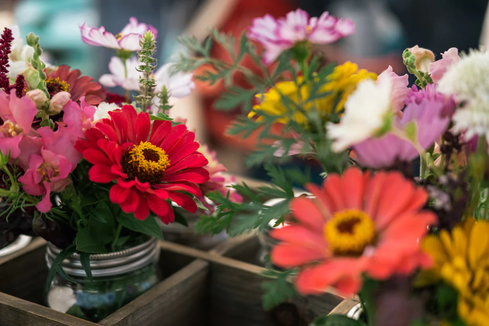 Fresh Canadian Blooms Delivered Fast